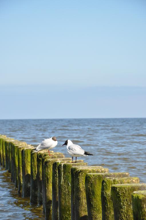 Seetelhotel Nautic Usedom Hotel & Spa Koserow Bagian luar foto